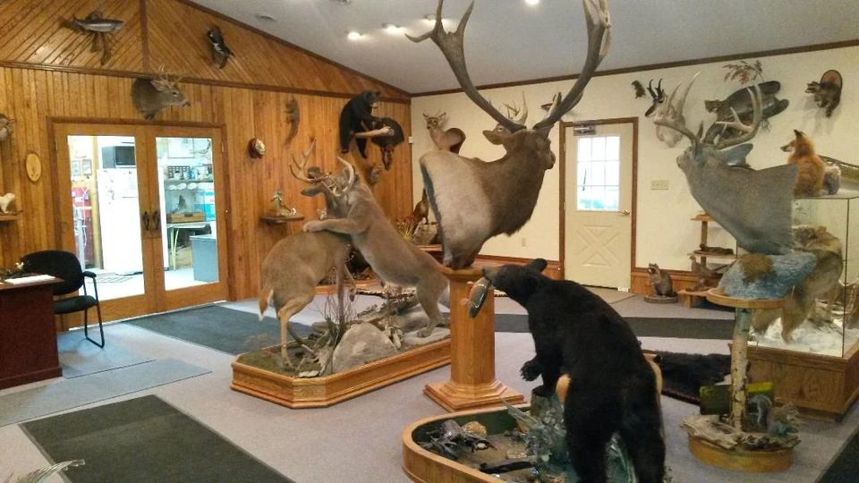 Delullo’s Backwoods Taxidermy